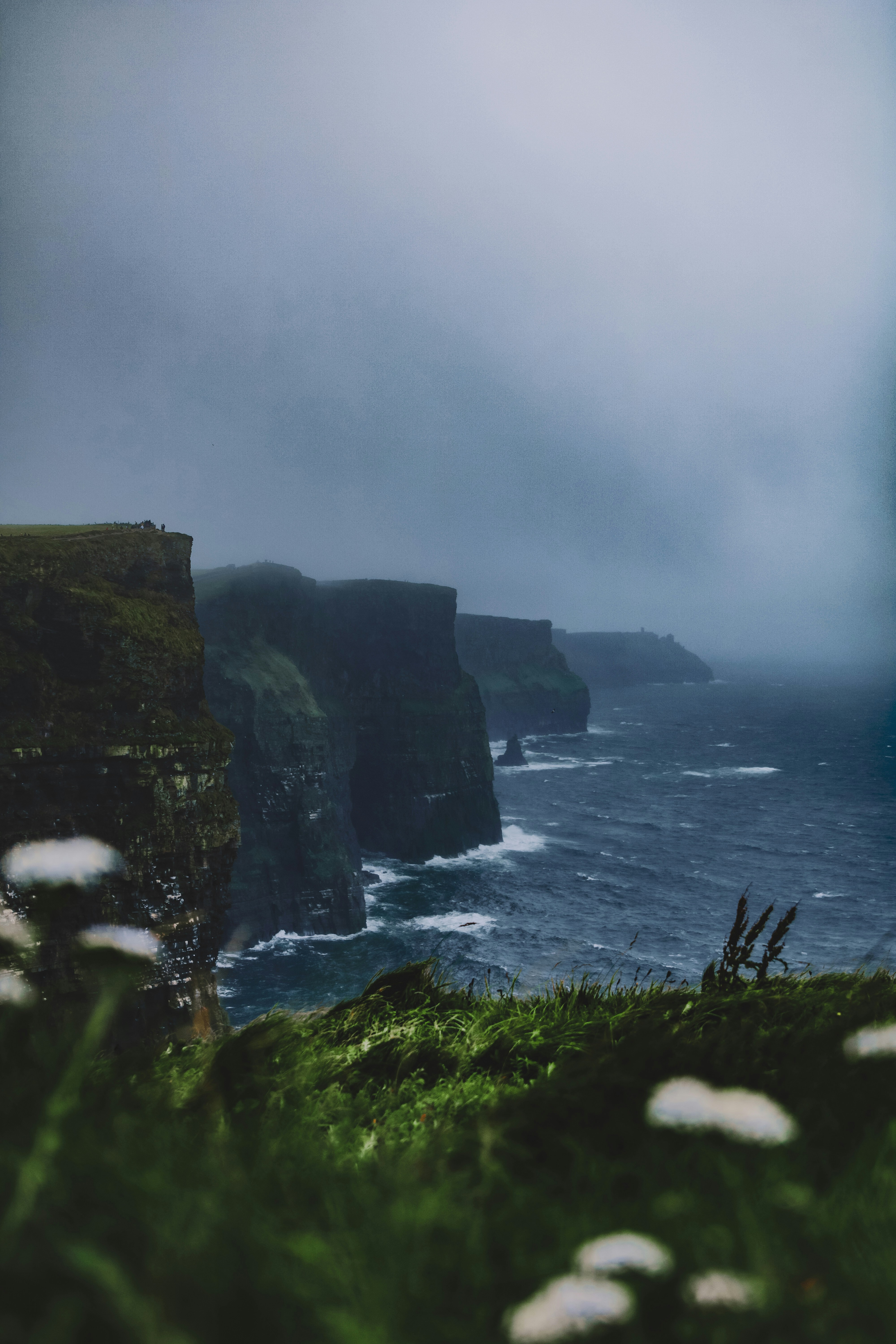 Photo by andreaferrario