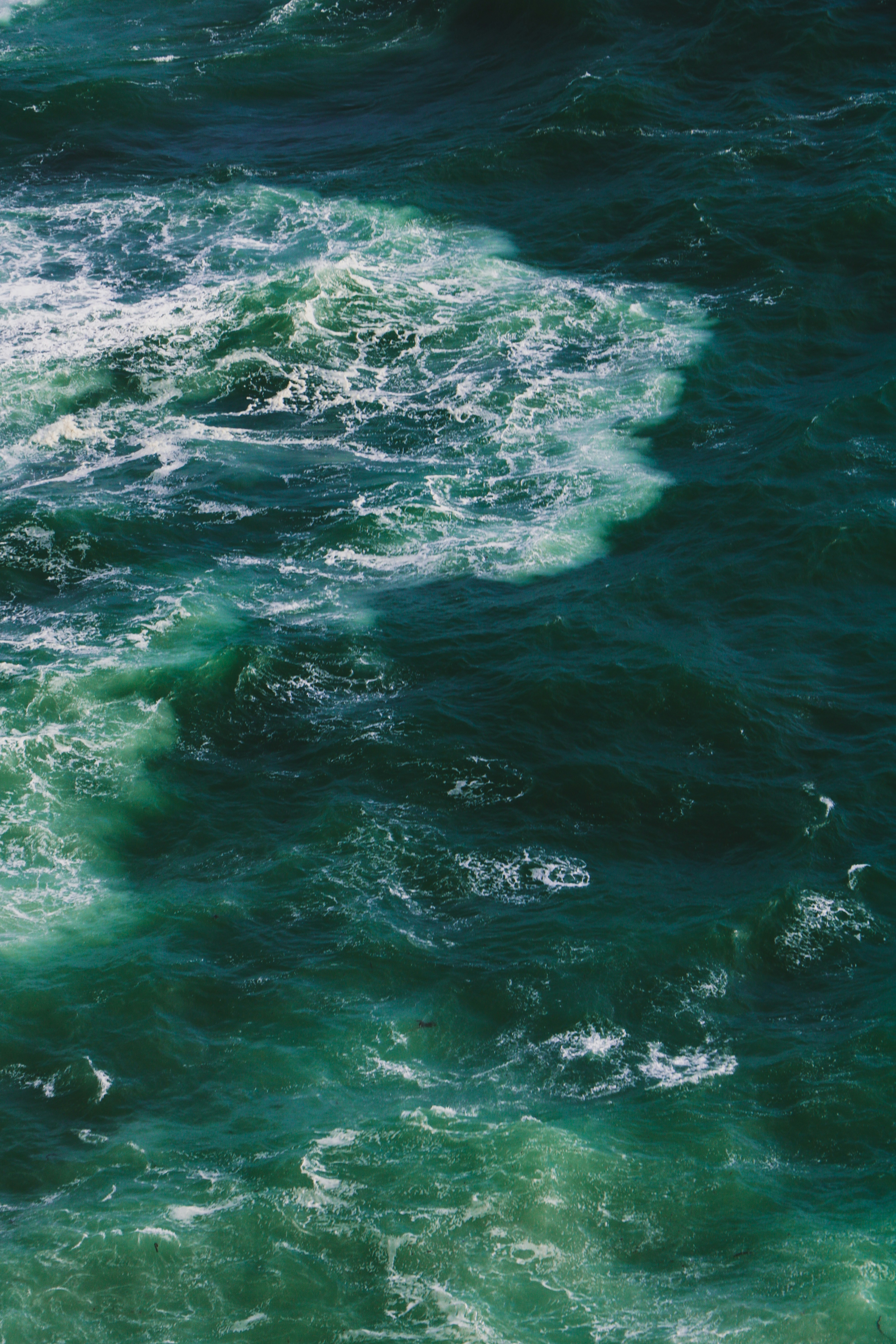 Photo by andreaferrario