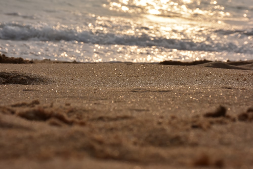 closeup photo of seashore