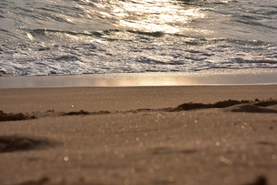 Waves gently crashing on a quiet beach at dawn.
