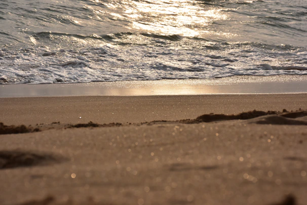 Soft waves gently washing over smooth sand with scattered seashells under golden sunlight.