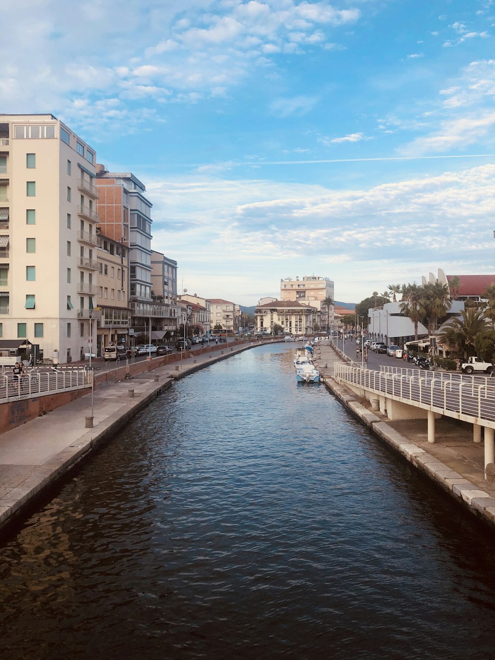 body of water near high-rise buildings