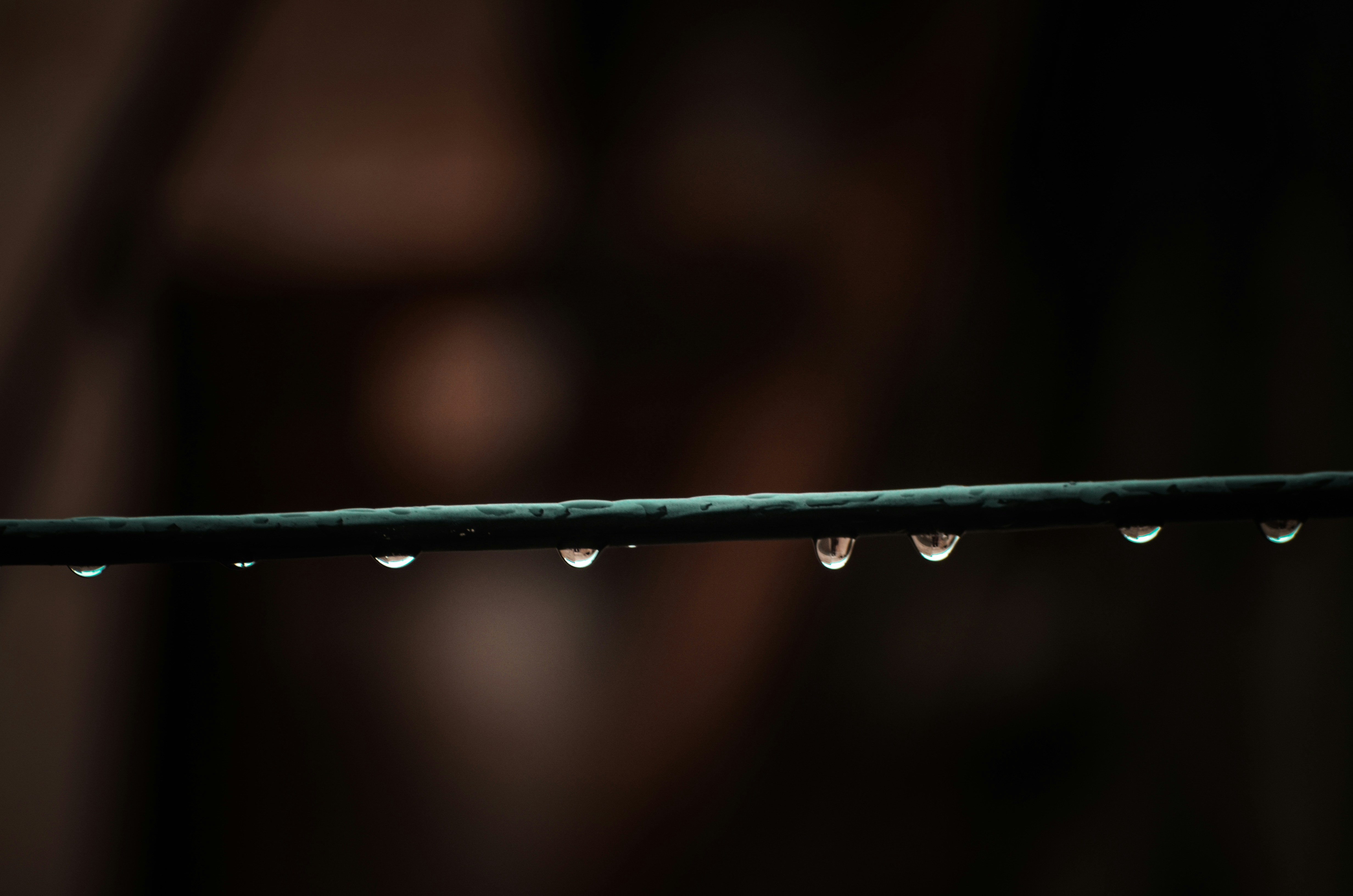 Photo by kamil_mehmood777