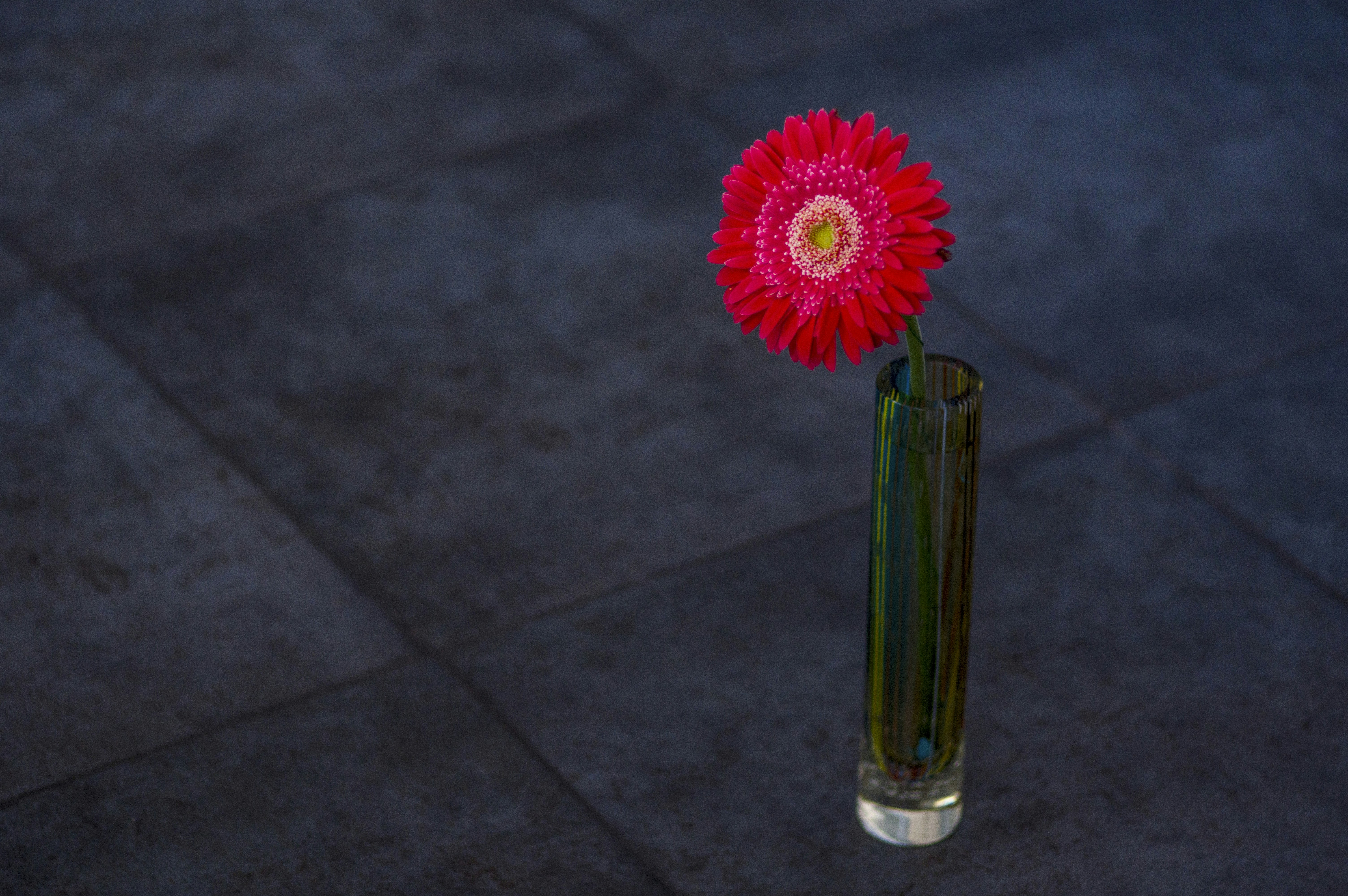 a red flower in a vase on the ground