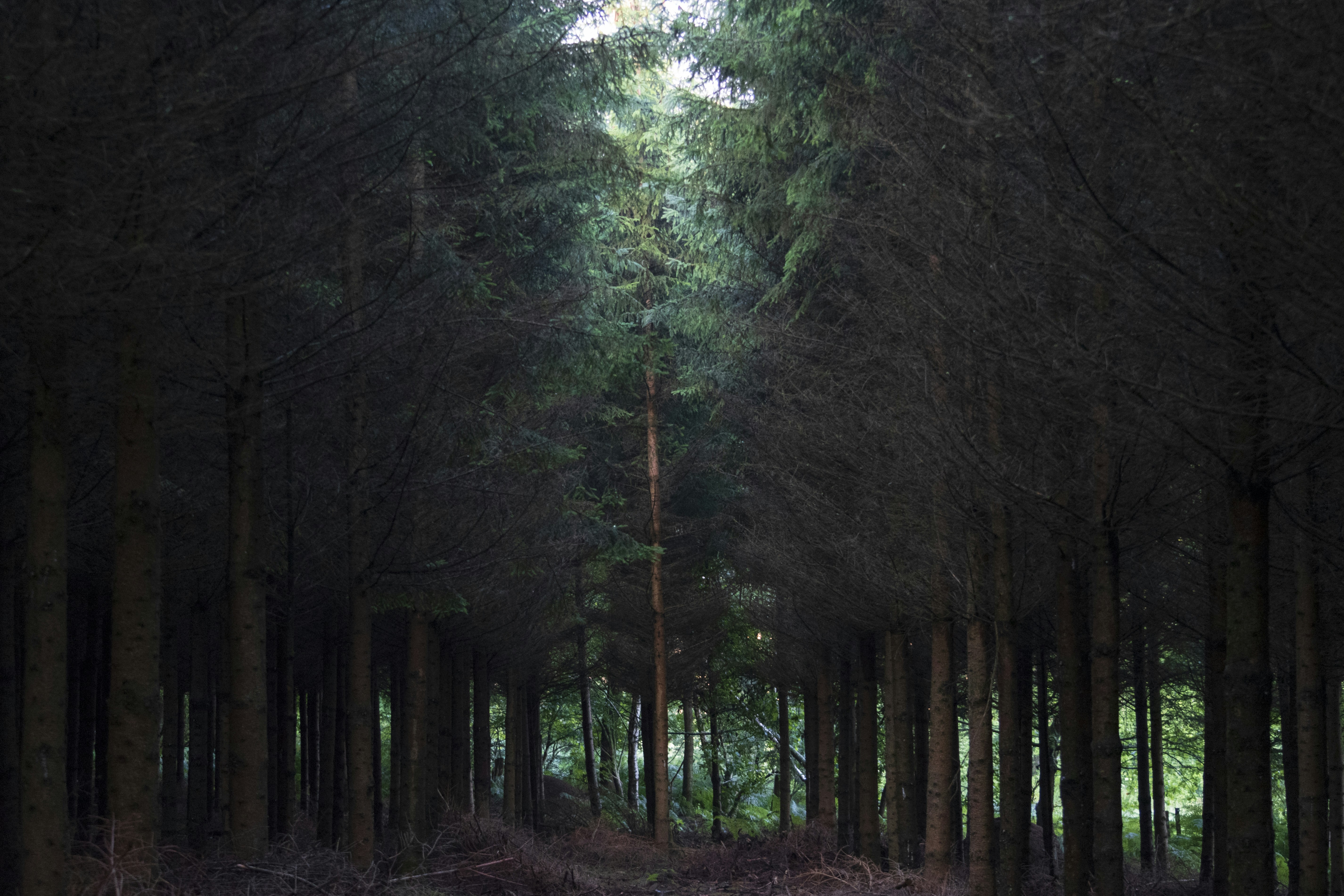 Photo by sandermathlener