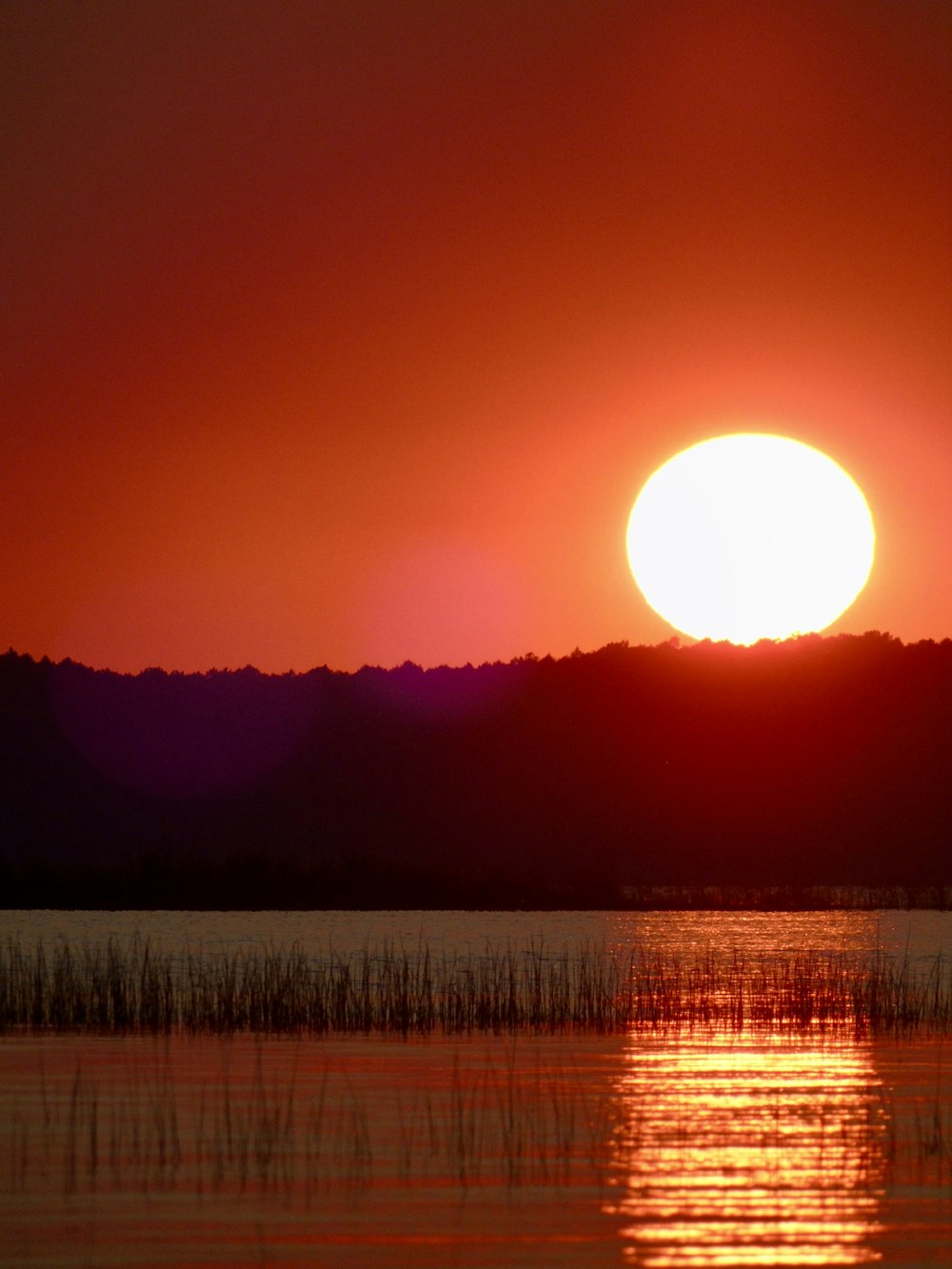 Silhouette des Waldes bei Sonnenuntergang