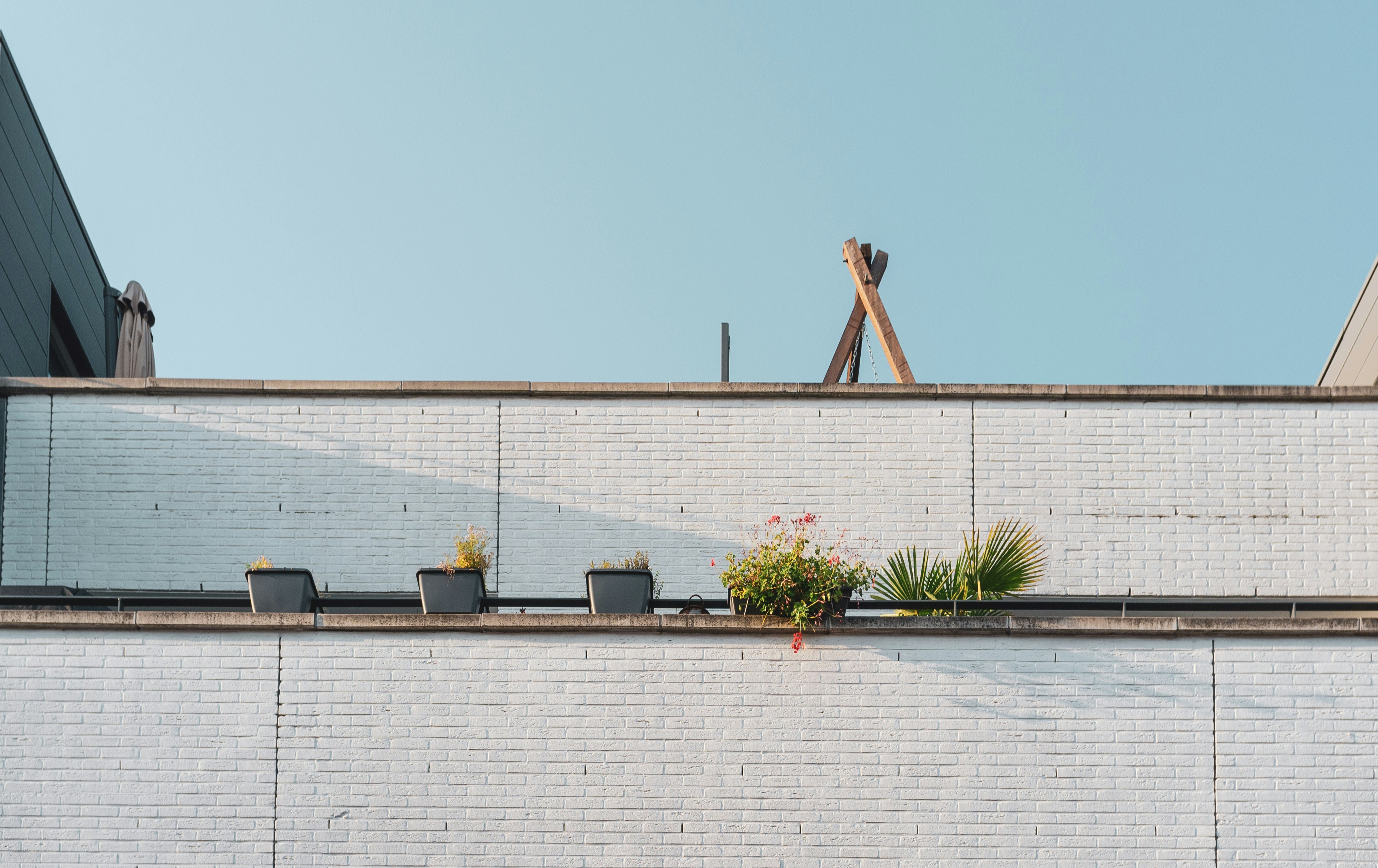 Photo by moisamihai092