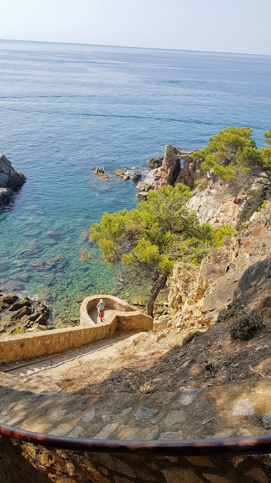 Massís de les Cadiretes things to do in Sant Feliu de Guíxols