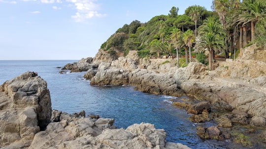 Carrer de Josep Tarradellas things to do in Tossa de Mar