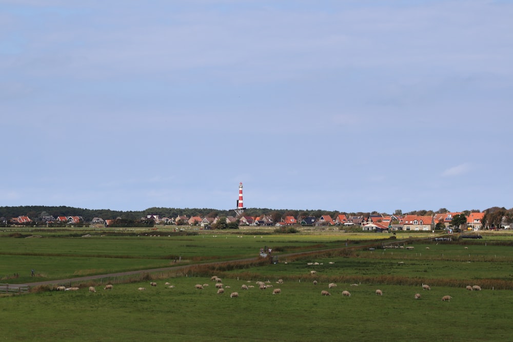 houses near green field under blue and white skies during daytime