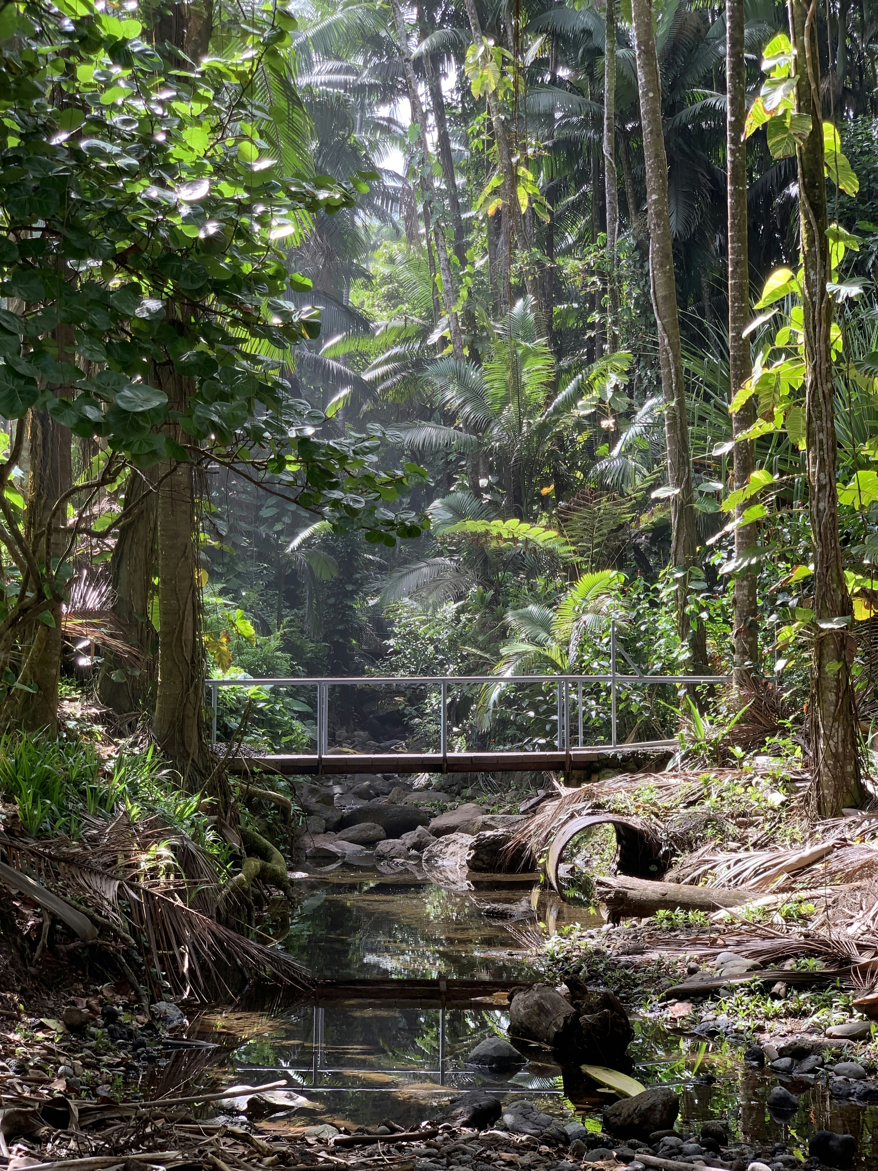 Photo by kathauguste