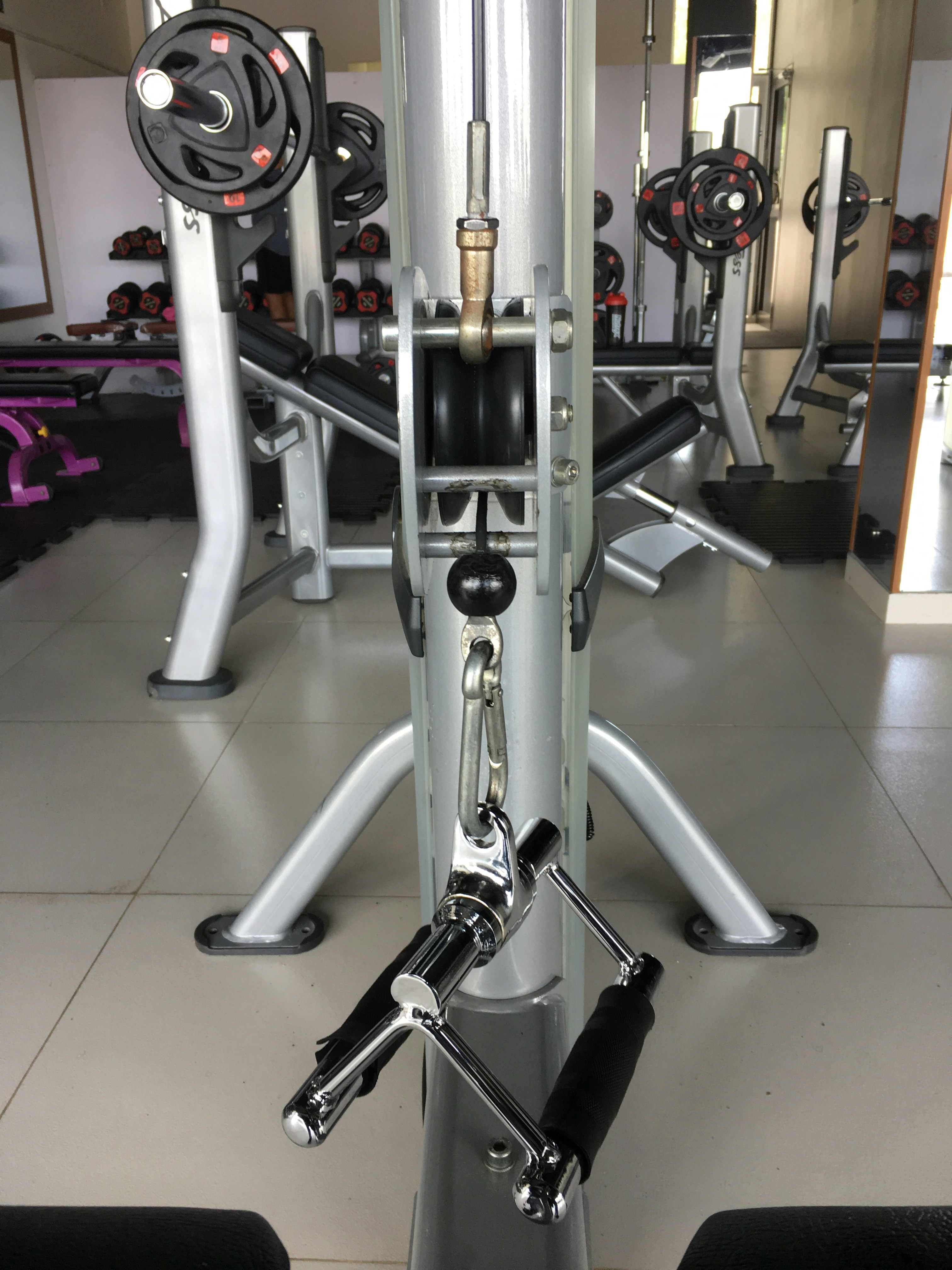 Premium Gym Equipment