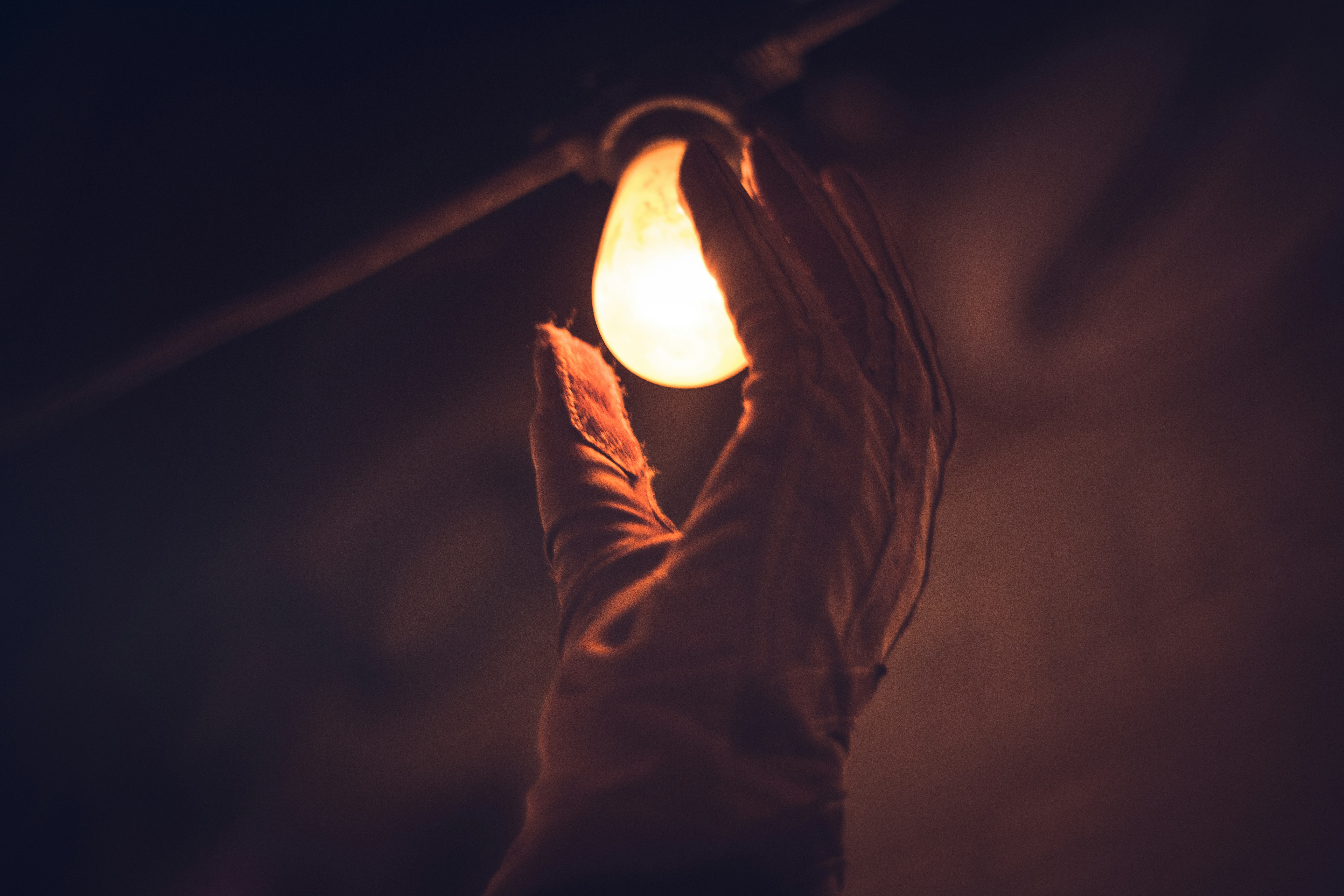 Photo by daniquegodwin