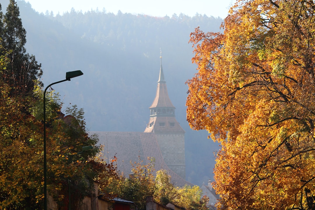 brown castle surrounded with tall trees,