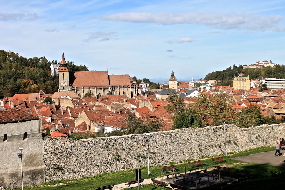 brown roofed houses