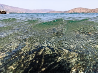 Screenshot of real-time water data dashboard with maps and graphs.