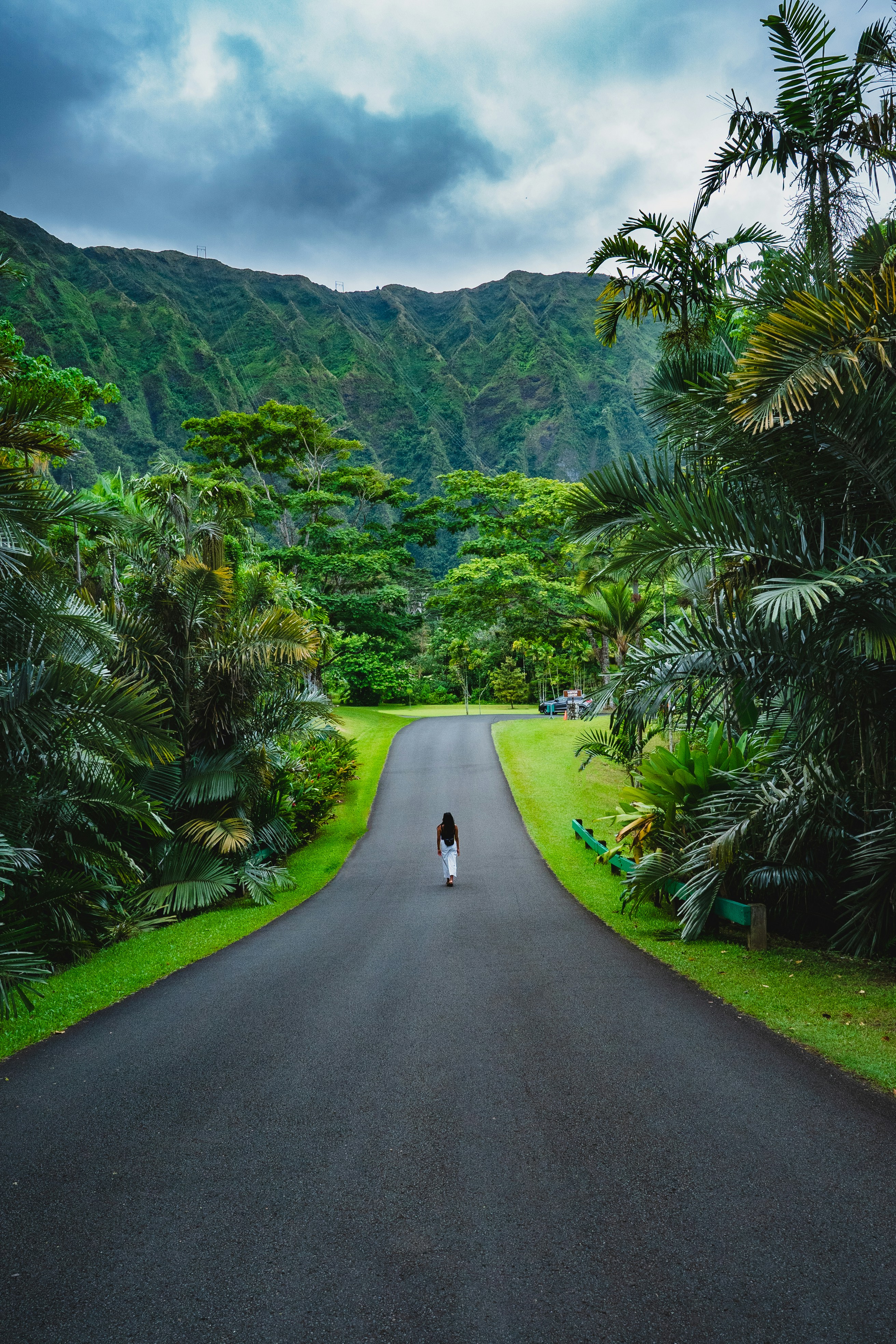 Photo by stevenwright