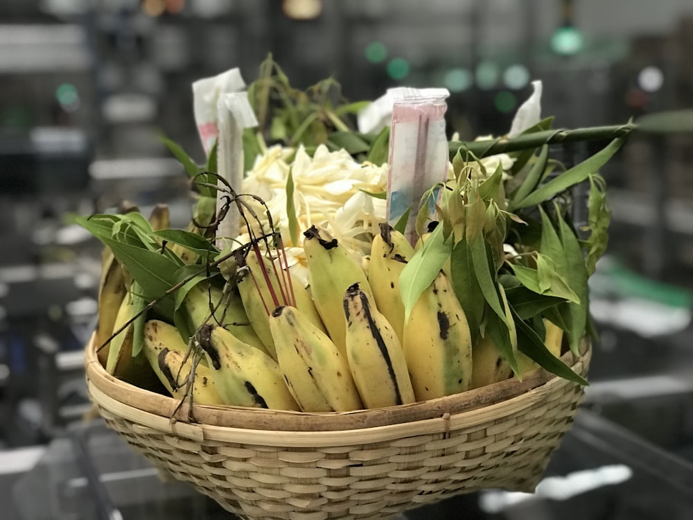 green banana fruits