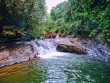 A group of American search volunteers in red jackets coordinating a search in a dense forest.
