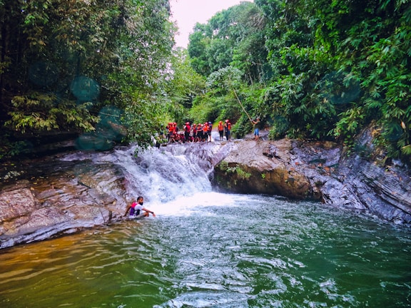 A group of American search volunteers in red jackets coordinating a search in a dense forest.