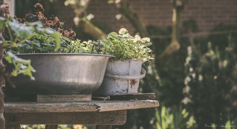 Herb Garden