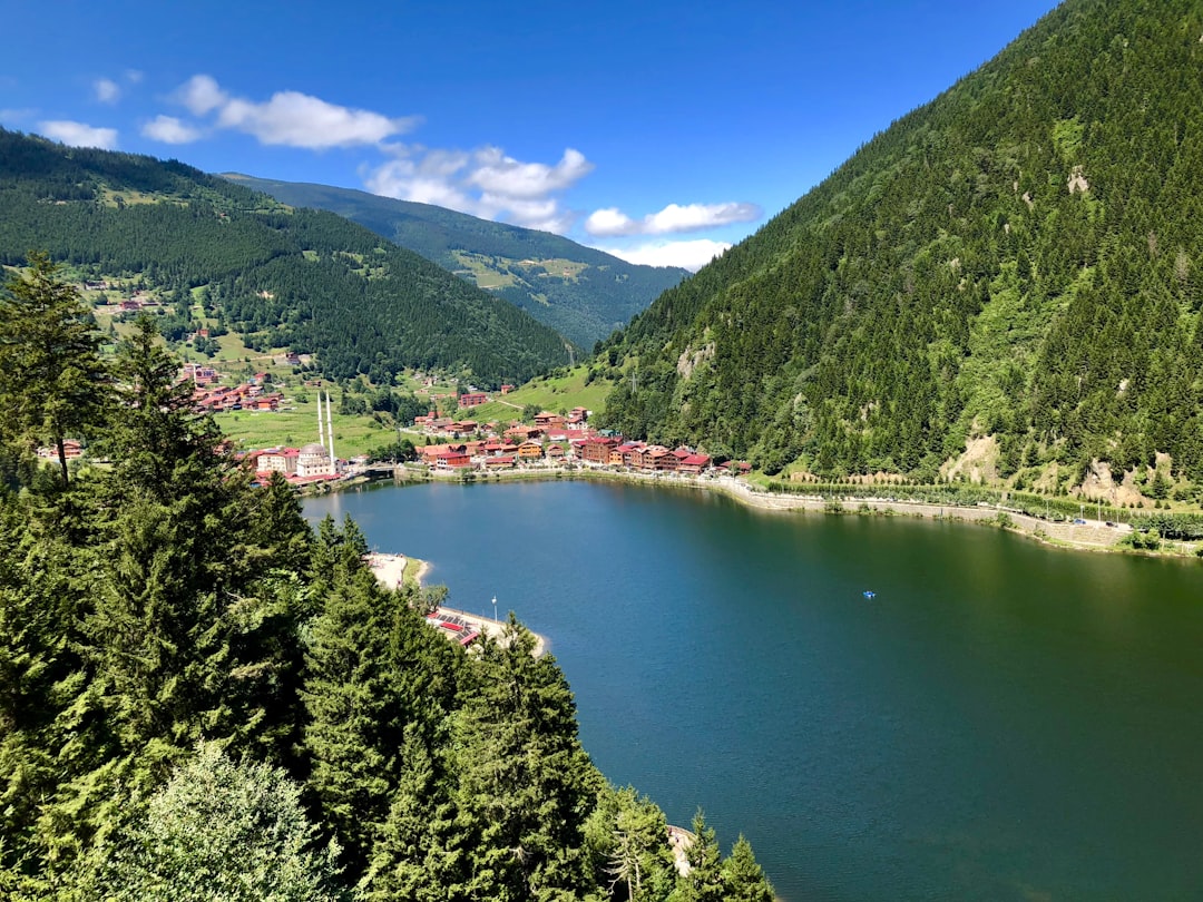 Reservoir photo spot Uzungöl Turkey