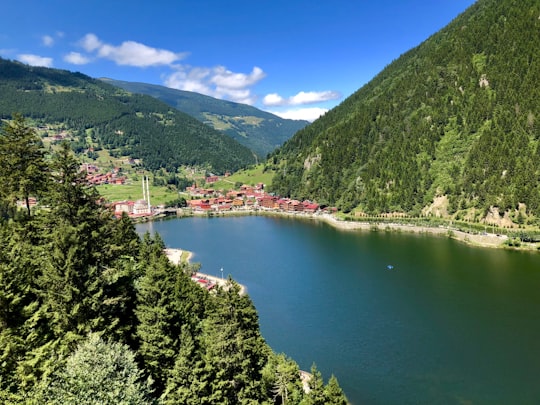 photography of buildings beside lake and mountain during daytime in Uzungöl Turkey