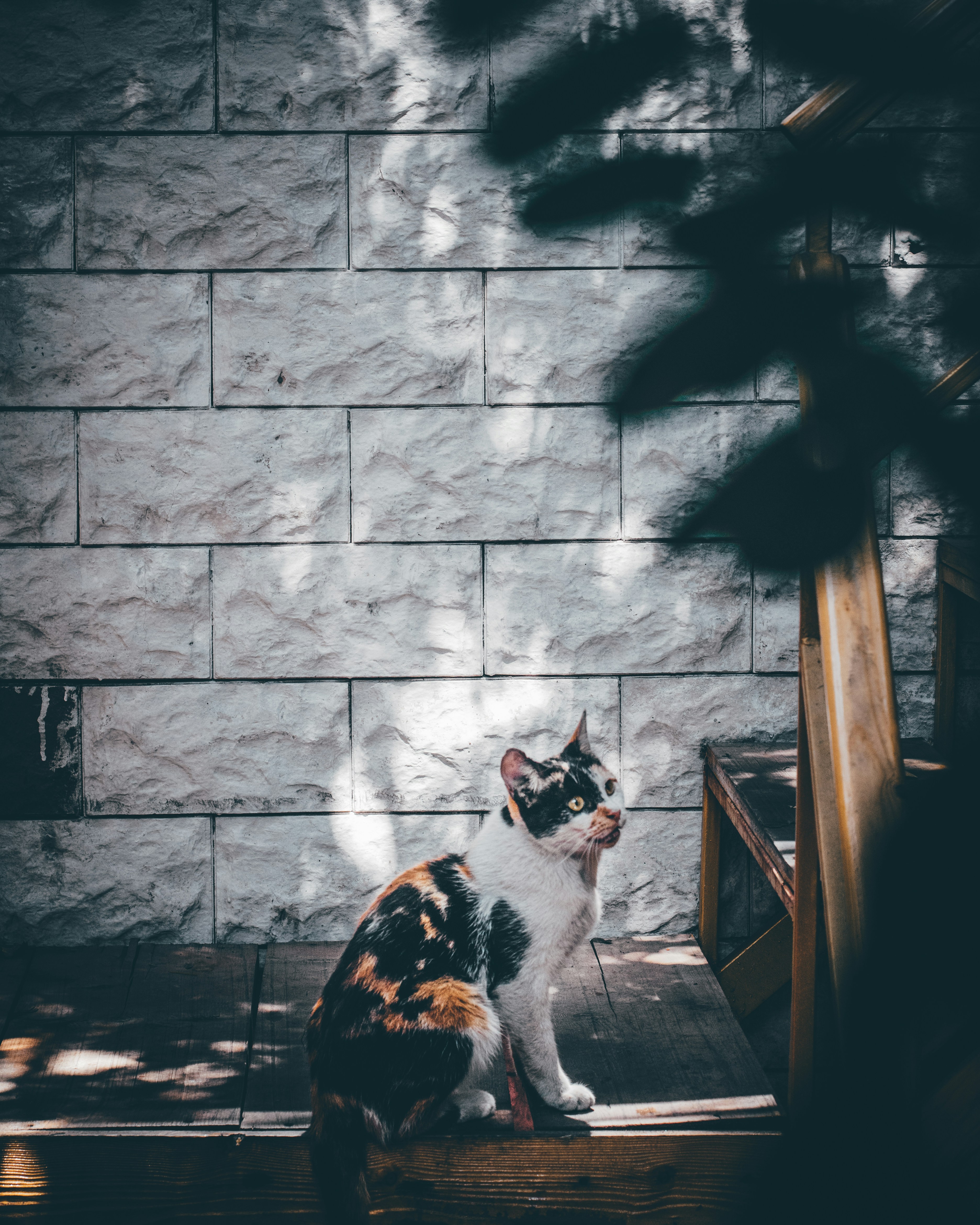 Photo by alireza121