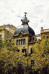 brown and gray building