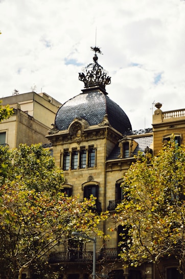 brown and gray building
