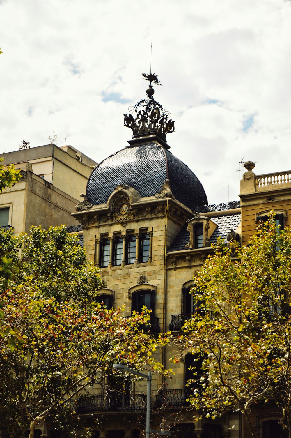 brown and gray building