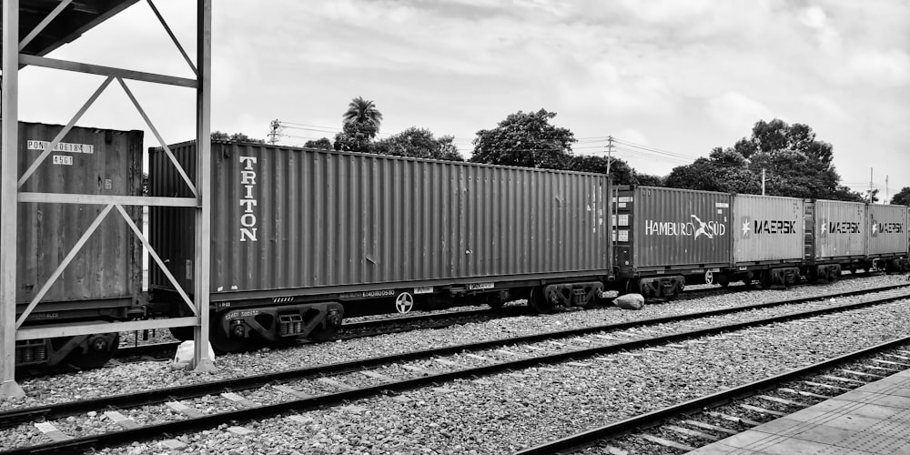 grayscale photo of gray and white train