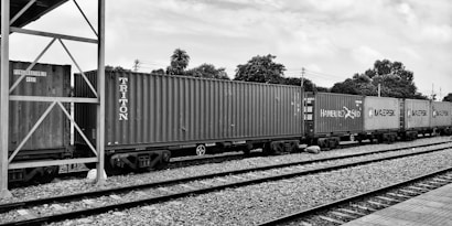 A set of freight train cars carrying shipping containers is stationed on railway tracks. The scene includes several branded containers, featuring names like Triton, Hamburg Sud, and Maersk. The background consists of trees and utility poles under a partially cloudy sky. The setting appears to be an open railway yard or station.