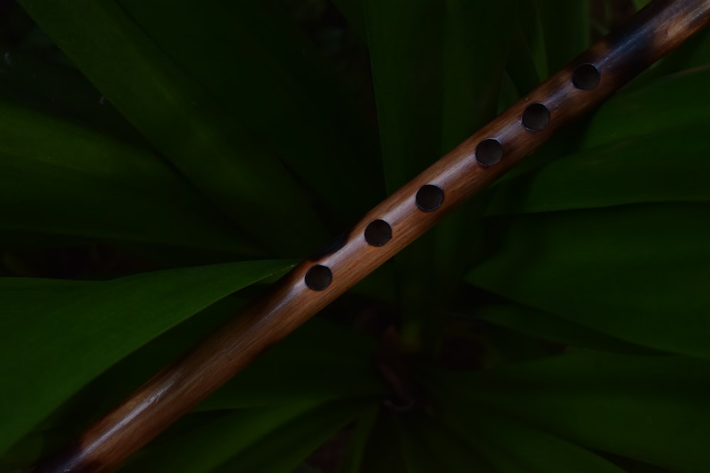 flauta marrom