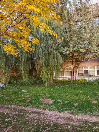 A lush landscaped garden with stone pathways and vibrant plants surrounding a commercial building.