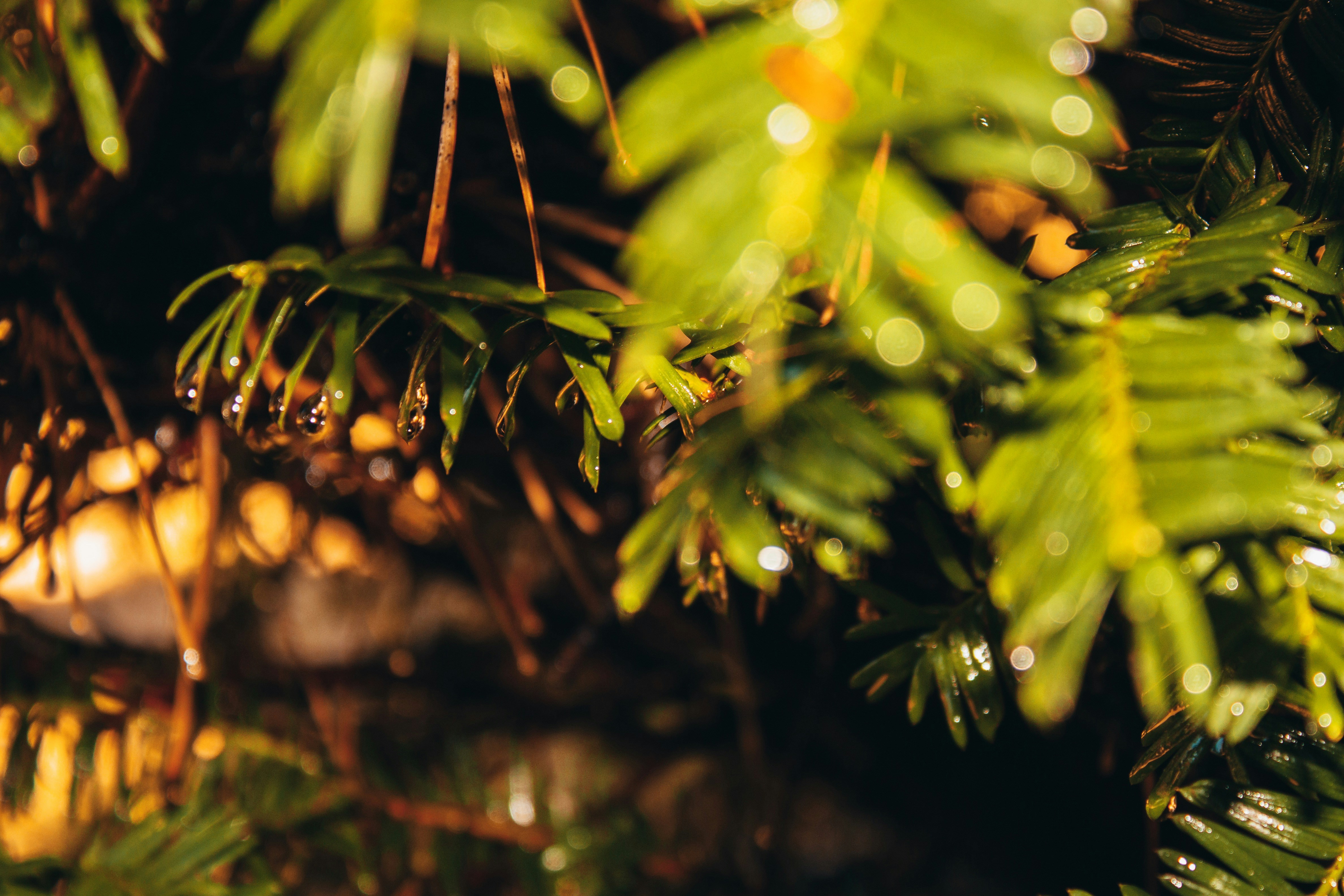 Photo by tyreeseferguson