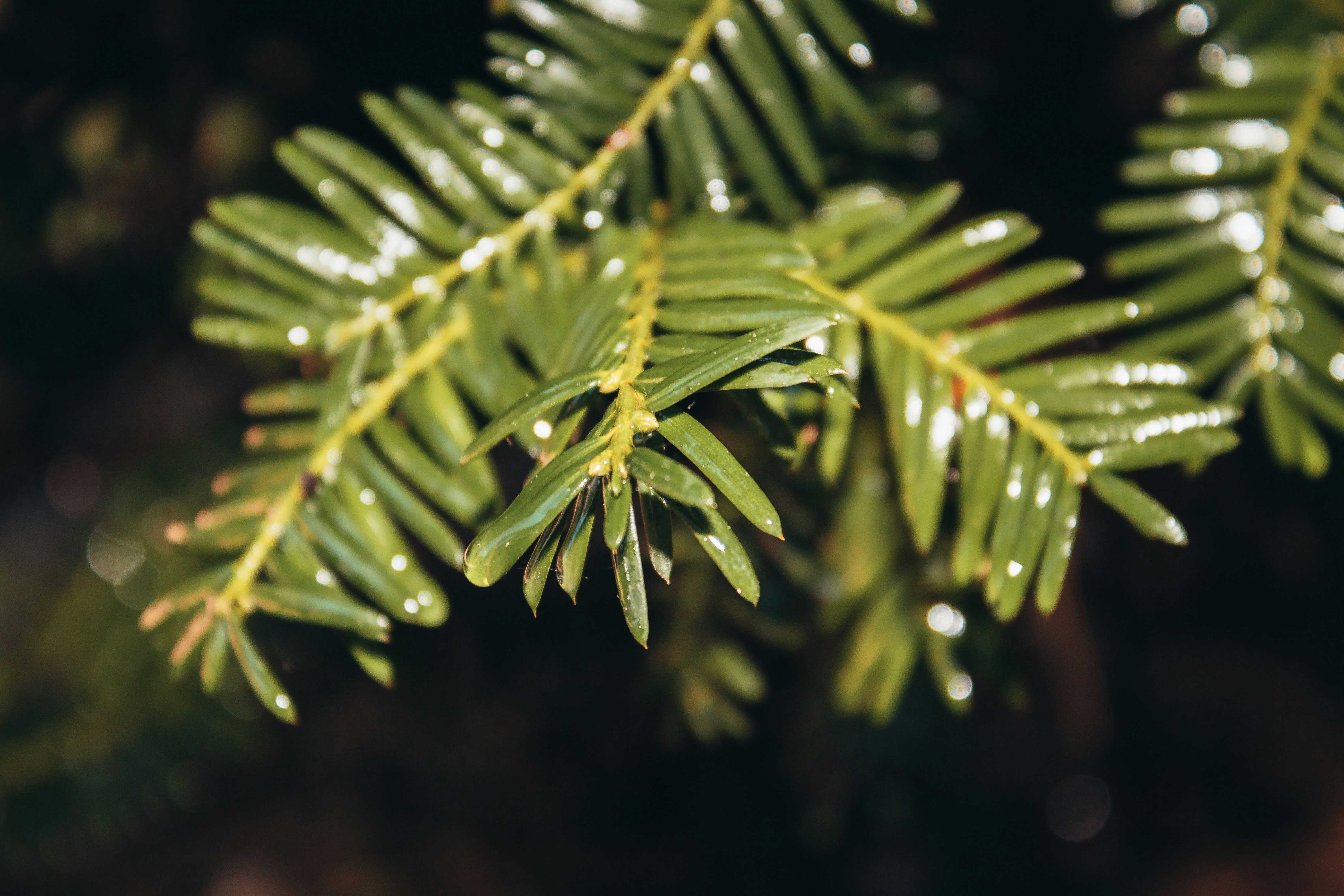 Photo by tyreeseferguson