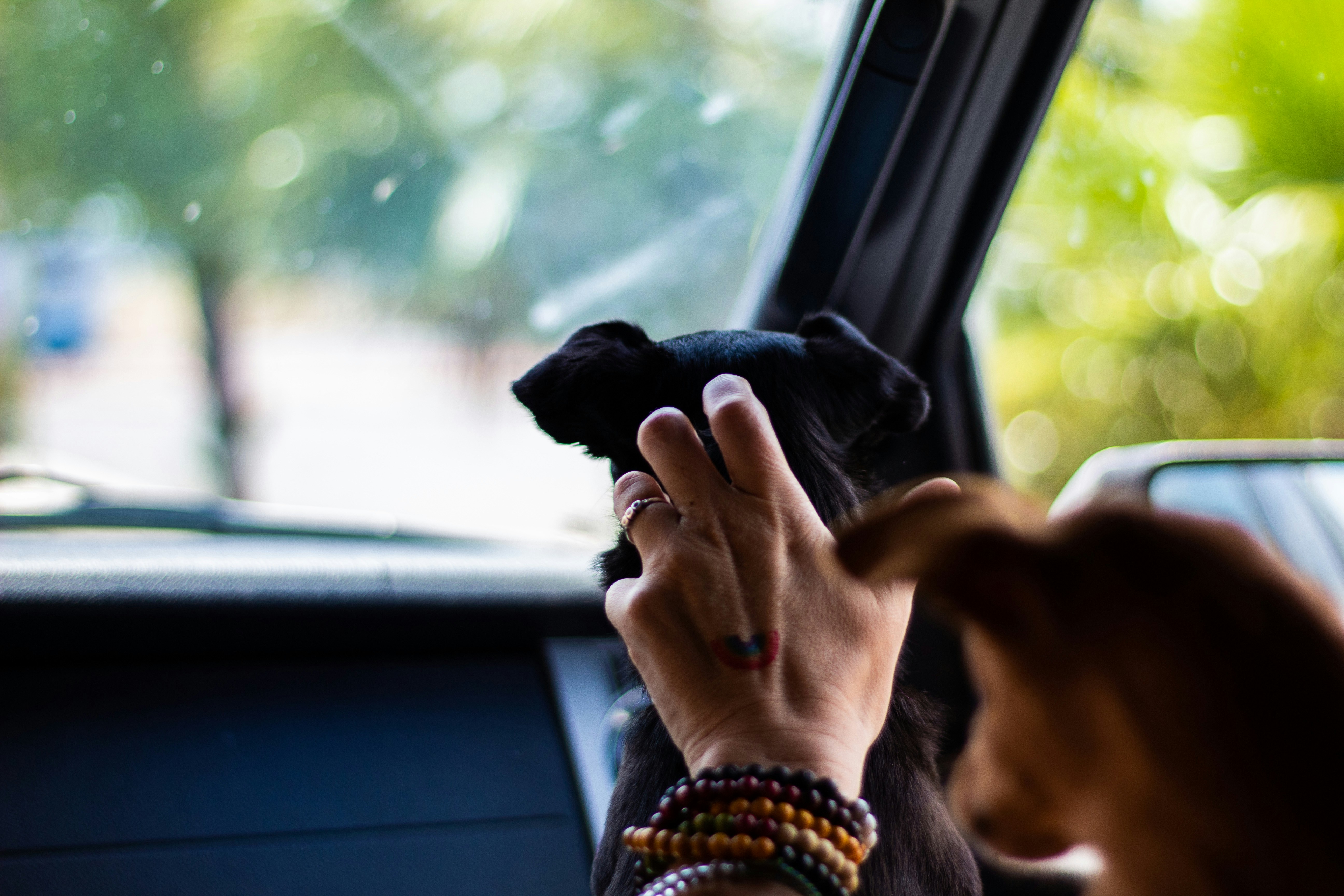 Photo by grahamklingler