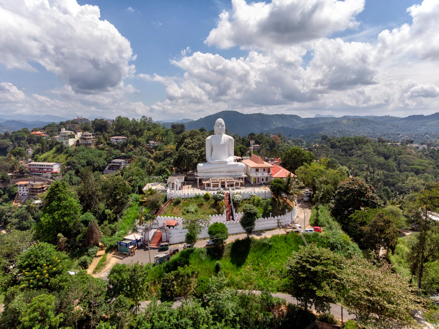 White Buddha statue under a bright sky in Sri Lanka's cultural triangle