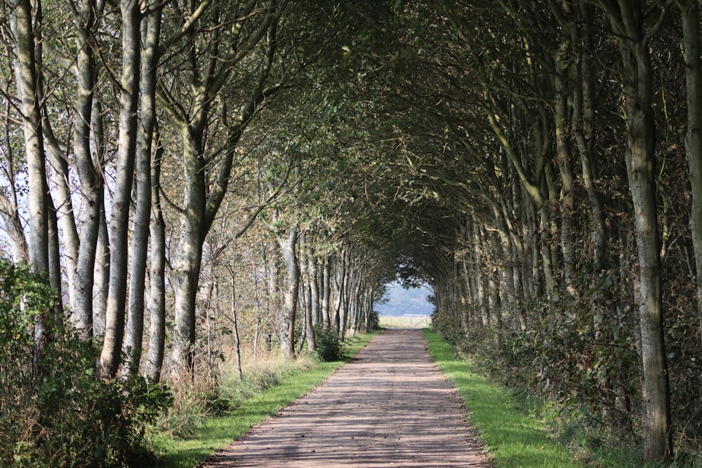 empty road