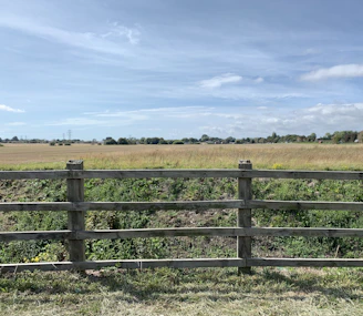 Wide open field with grazing cattle and a wooden fence in Magdalena.