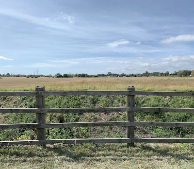 Wide open field with grazing cattle and a wooden fence in Magdalena.
