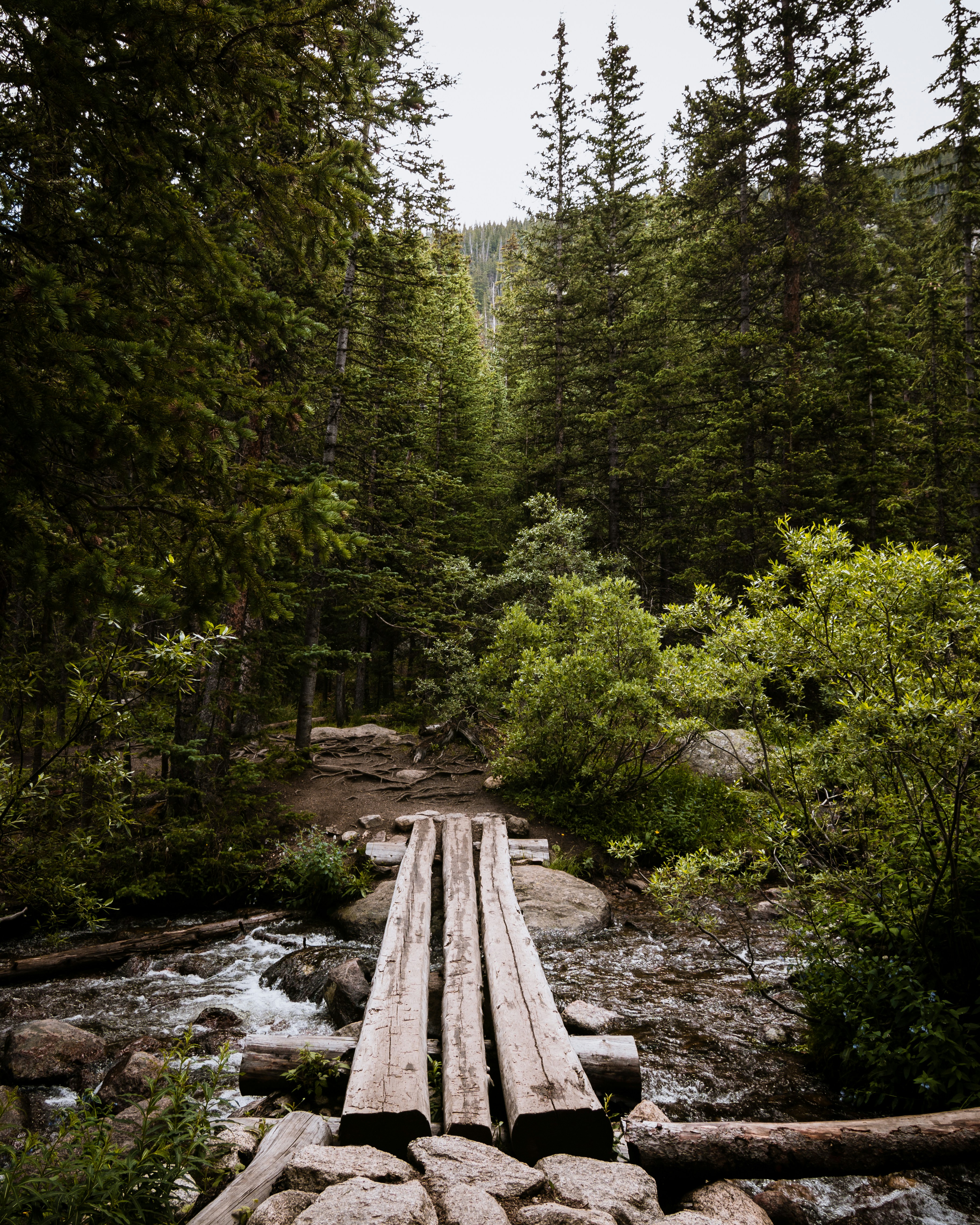 Photo by dangrcia