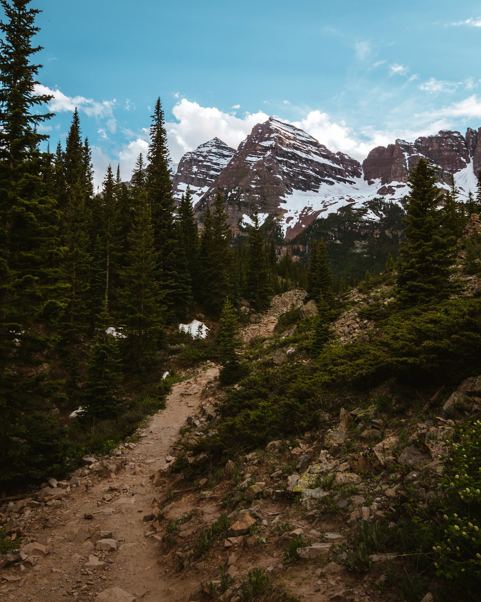 A winding mountain trail framed by towering pine trees under a clear blue sky, inviting adventure and exploration.