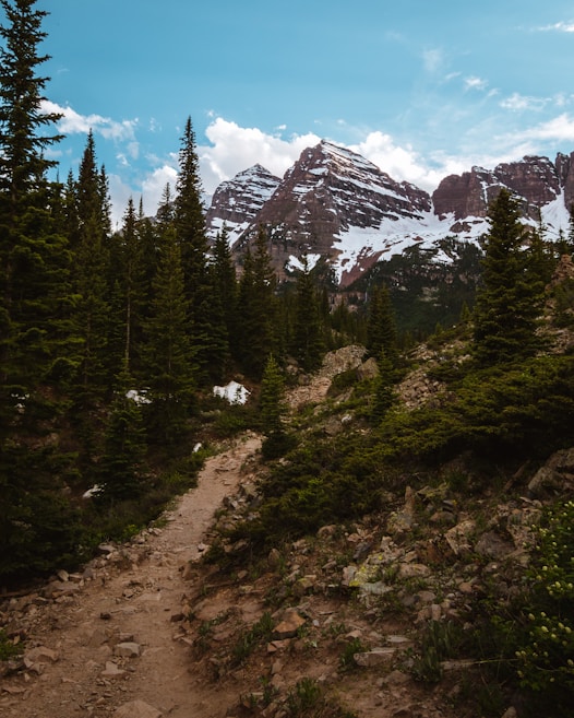 A rugged mountain path winds through dense evergreen forests, leading towards towering, snow-capped peaks under a bright blue sky with scattered clouds.