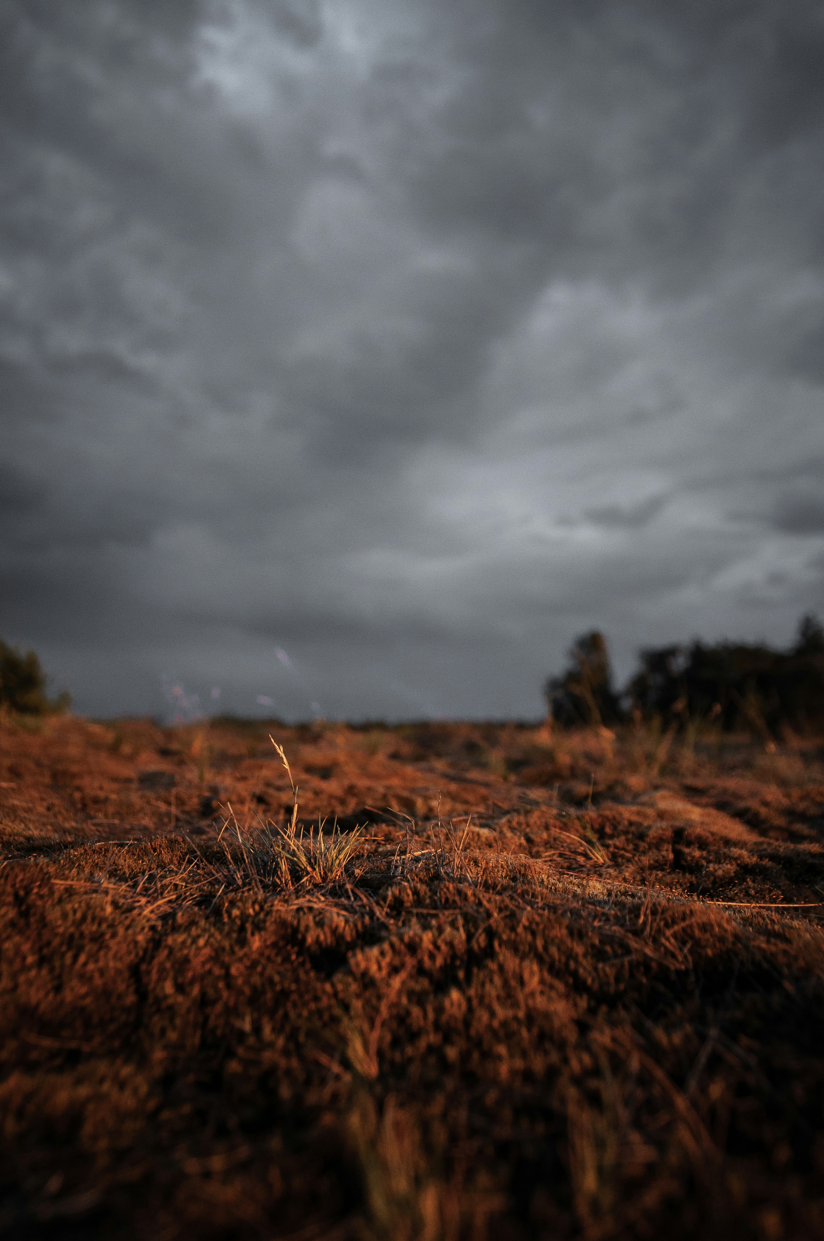 Photo by arjanschoorl