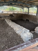 A covered archaeological excavation site featuring ancient stone walls arranged in a rectangular formation. The site is sheltered by a modern structure with a wooden and metal roof. Surrounding the site is a wooden fence, and in the background, there are green trees and distant hills under a cloudy sky.