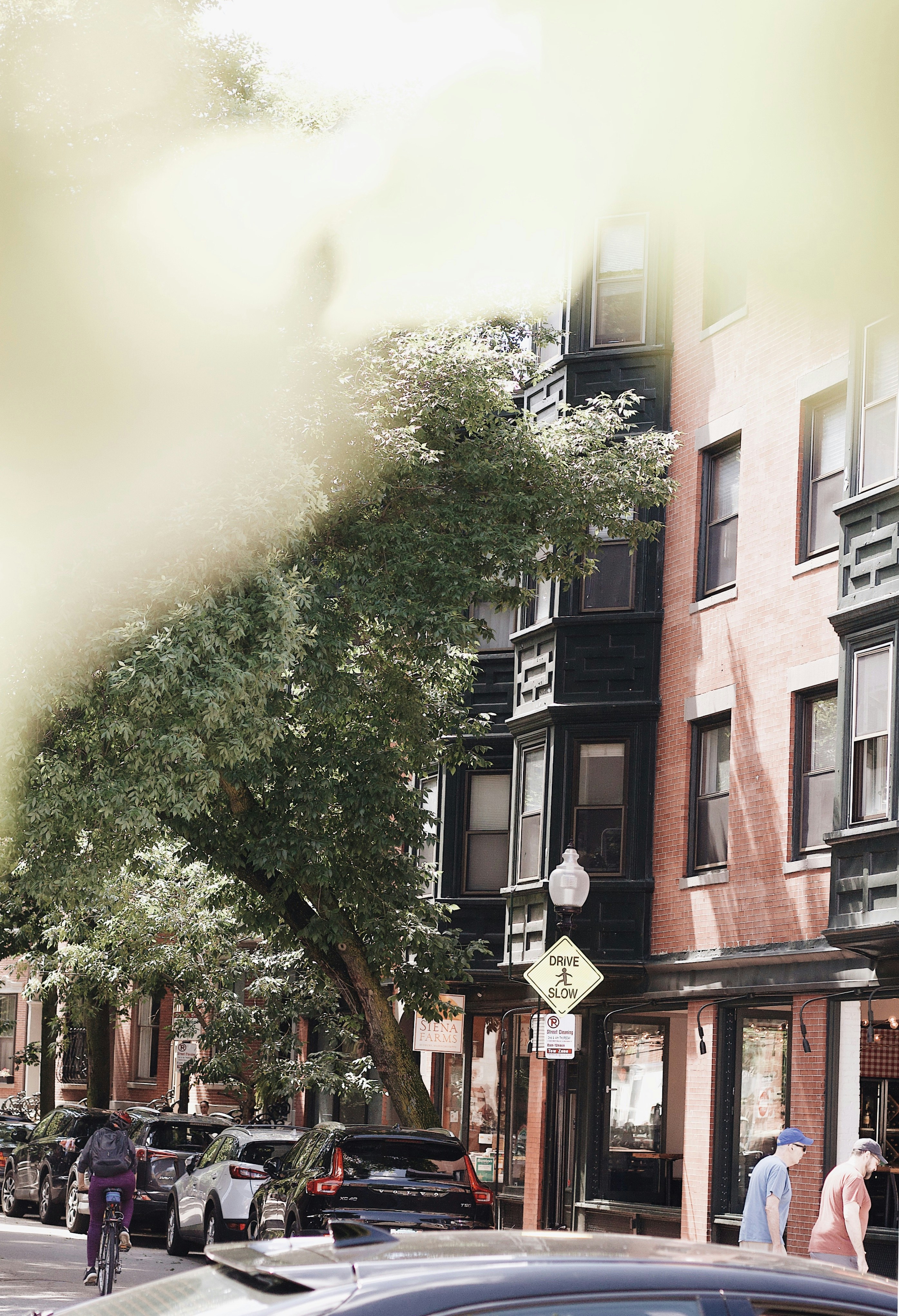 Photo by sydneyangove