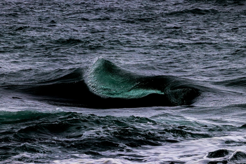 sea waves during daytime