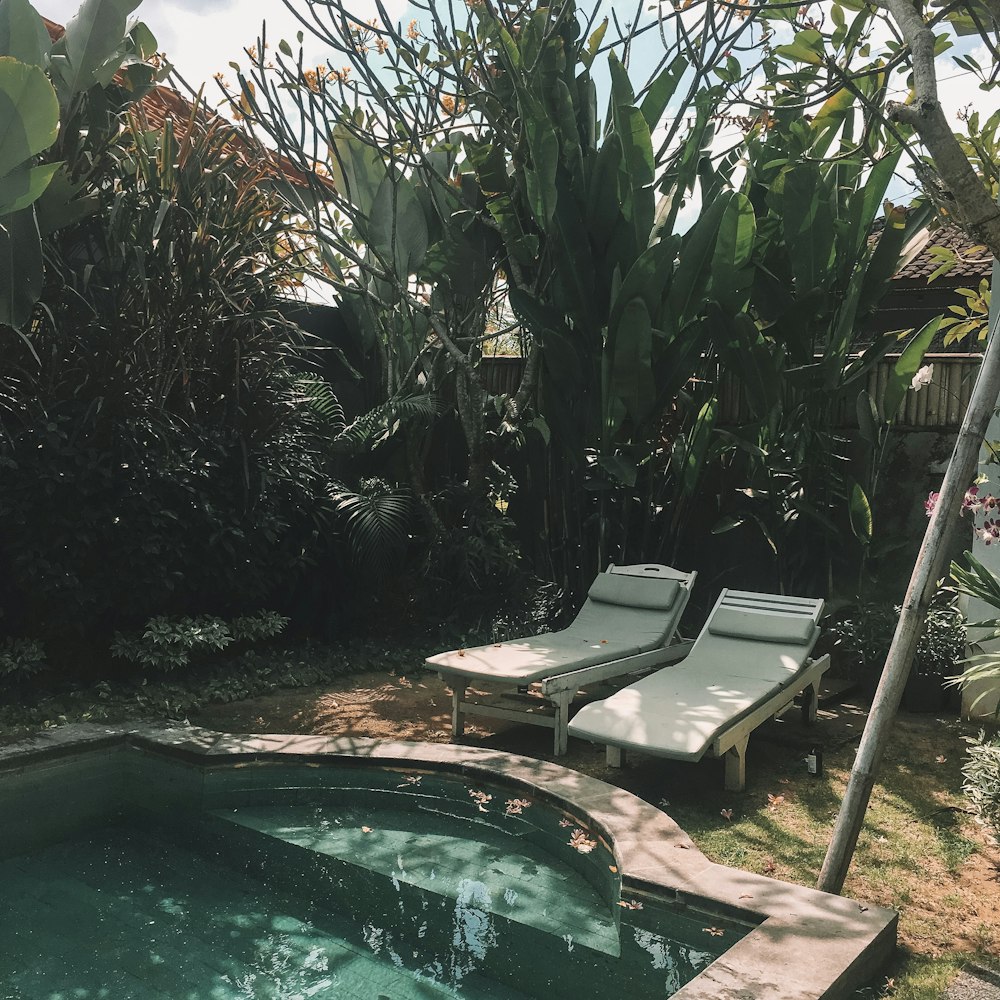 two sun loungers near pool